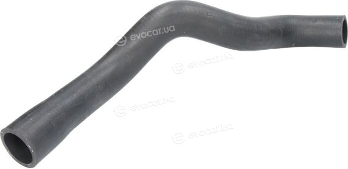 Thermotec DWF161TT
