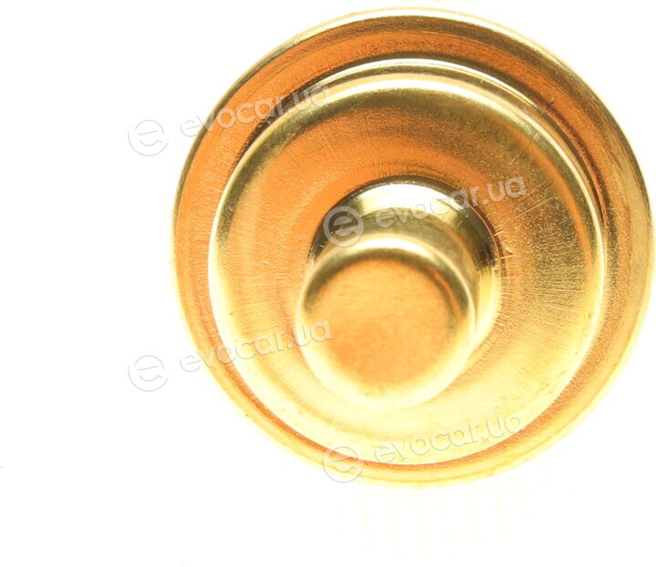 AIC 56481
