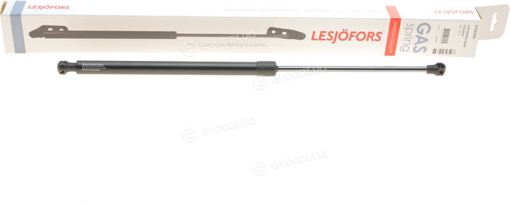 Lesjofors 8166769