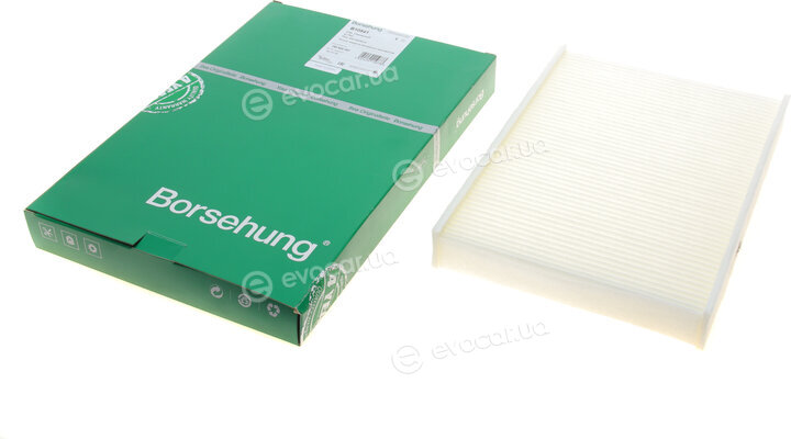 Borsehung B10541