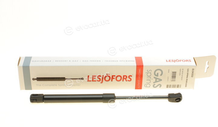 Lesjofors 8104202