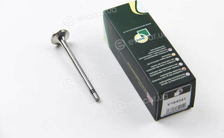 BGA V164541