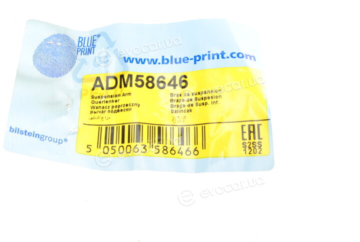 Blue Print ADM58646