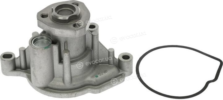 Starline VP V166