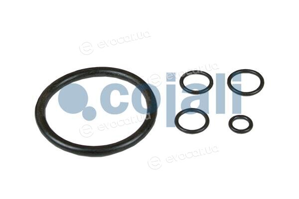 Cojali 6012070