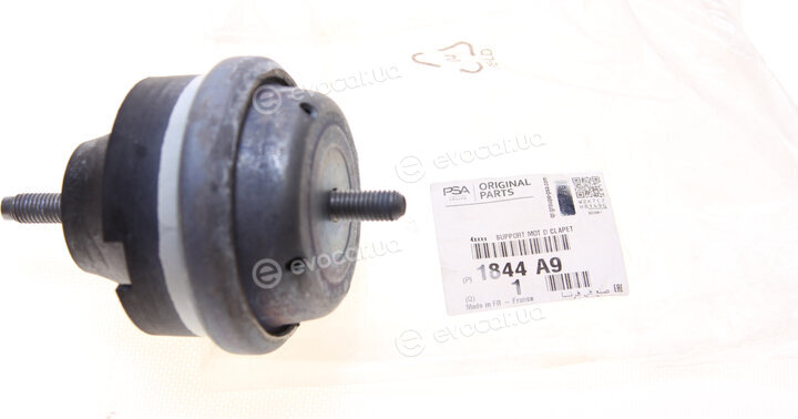 Mopar (PSA / FCA) 1844A9