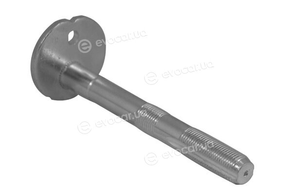 Tedgum TED44643