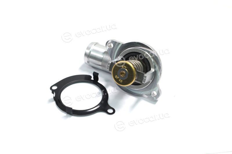 Wahler / BorgWarner 4430.87D