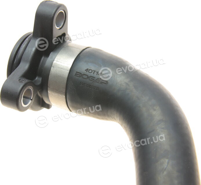 Bogap B4228338