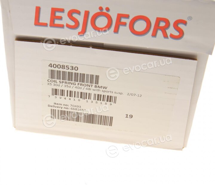 Lesjofors 4008530