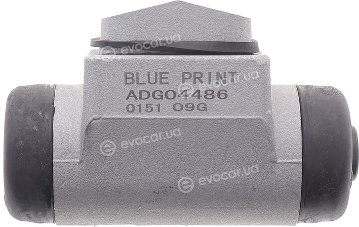 Blue Print ADG04486