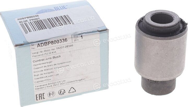 Blue Print ADBP800336