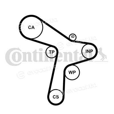 Continental CT1168WP7