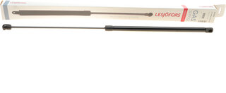Lesjofors 8095000