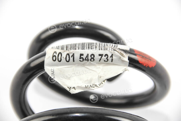Renault / Nissan 6001548731