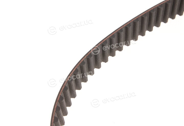 Gates K015344XS