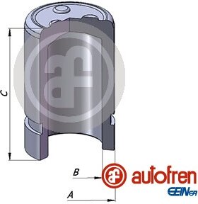 Autofren D025351