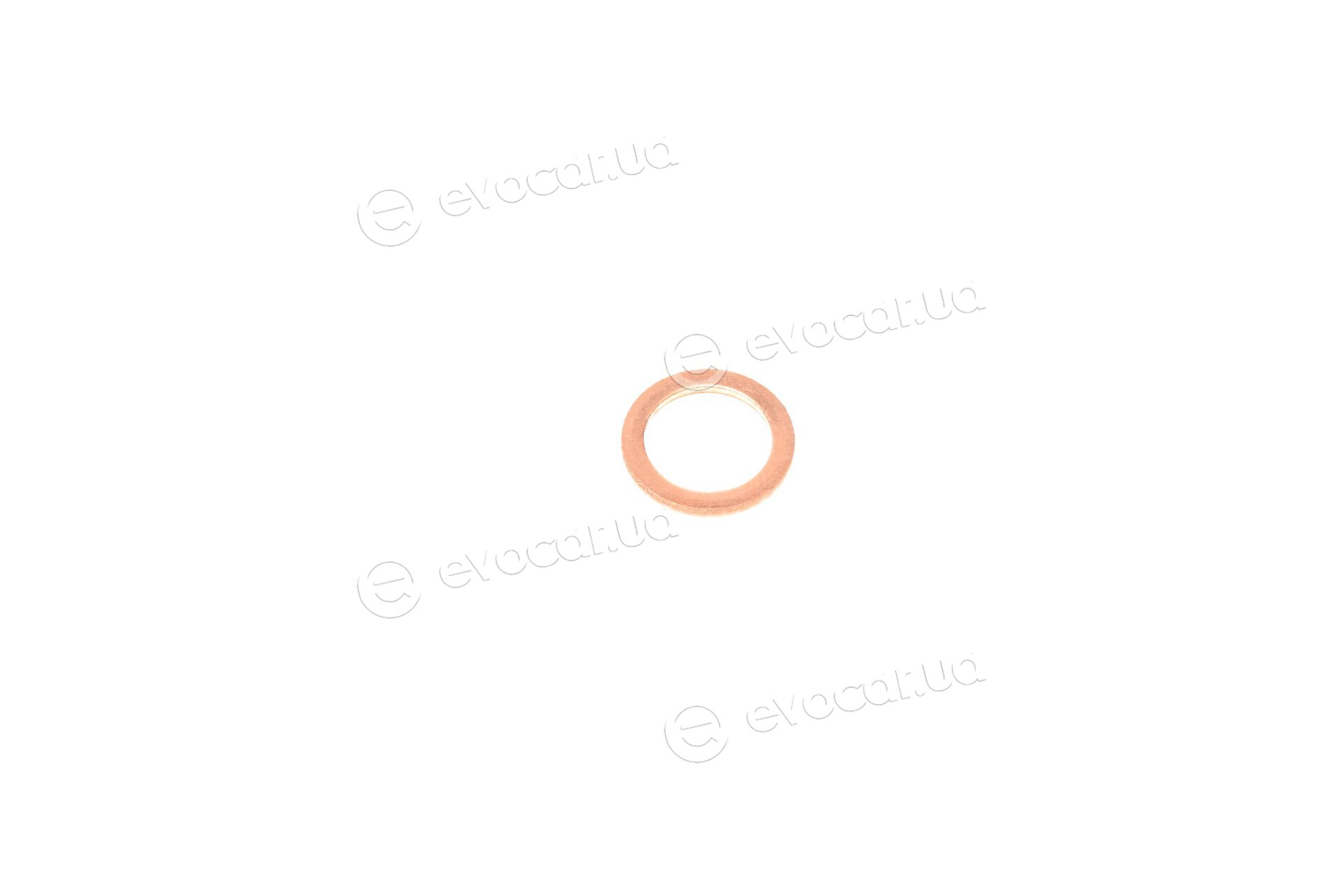 Elring 301.400