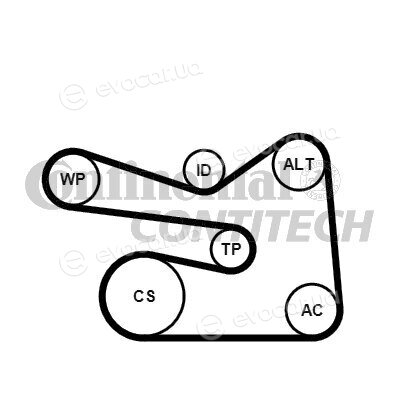 Continental 6PK1733K1