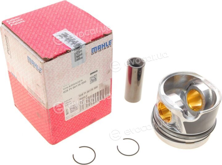 Mahle 028 PI 00116 000