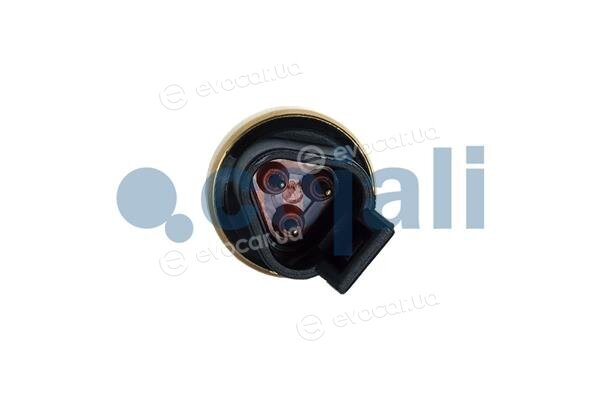 Cojali 2263024