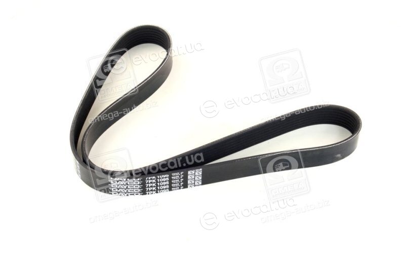 Dayco 7PK1095