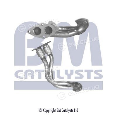 BM Catalysts FK70230