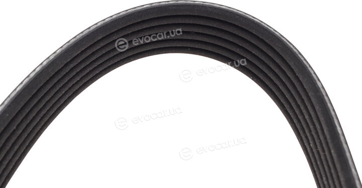 Dayco KPV588