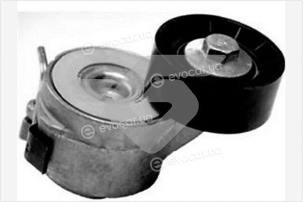 Hutchinson T0452