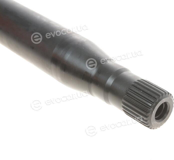 Solgy 216004