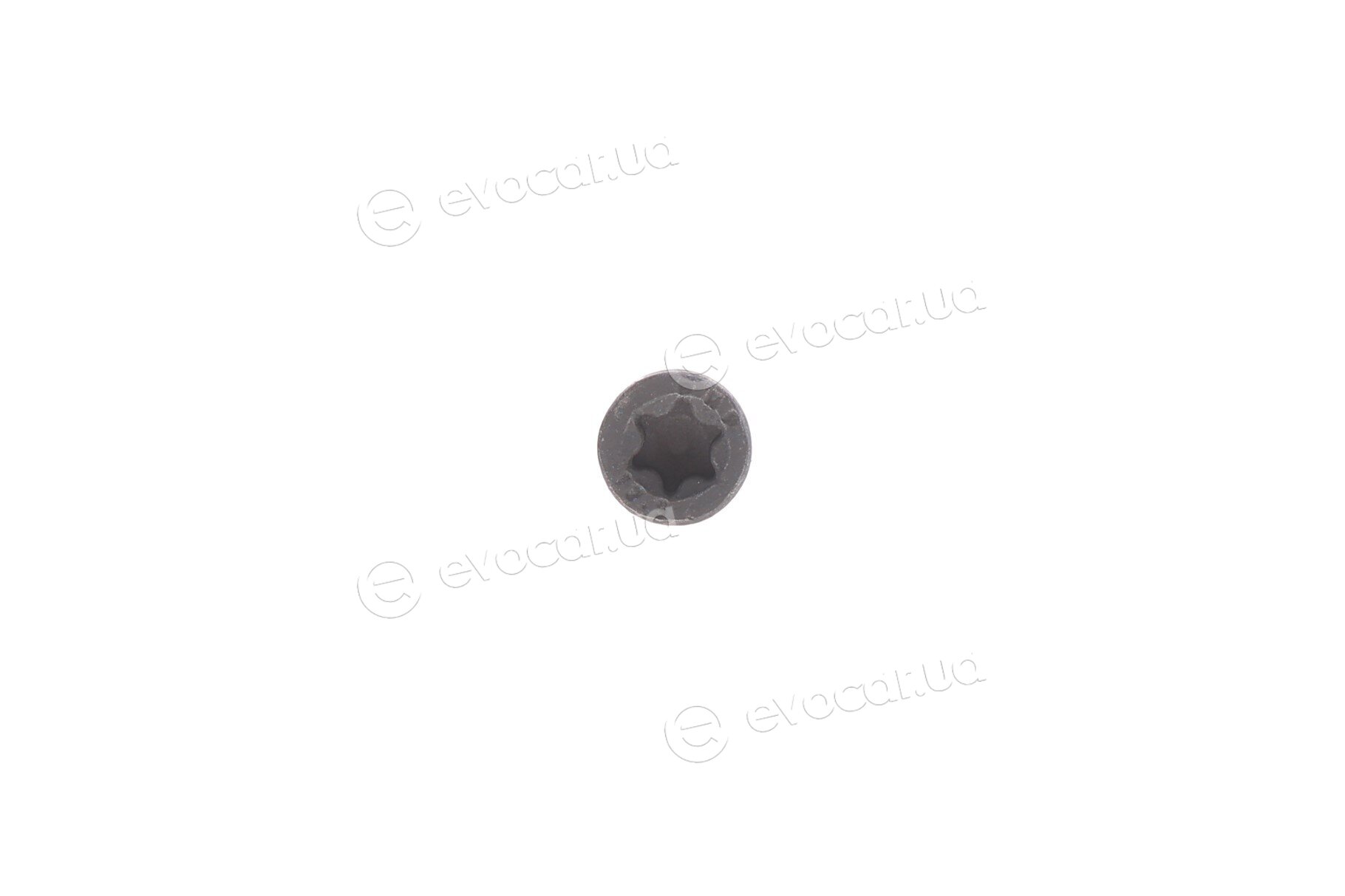 Blue Print ADL143073