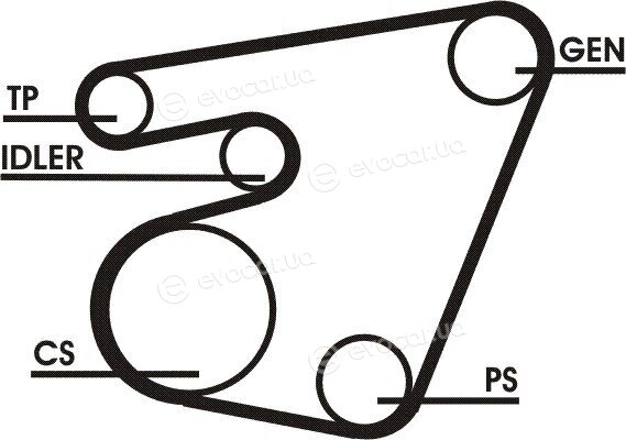 Continental 6PK1751D1