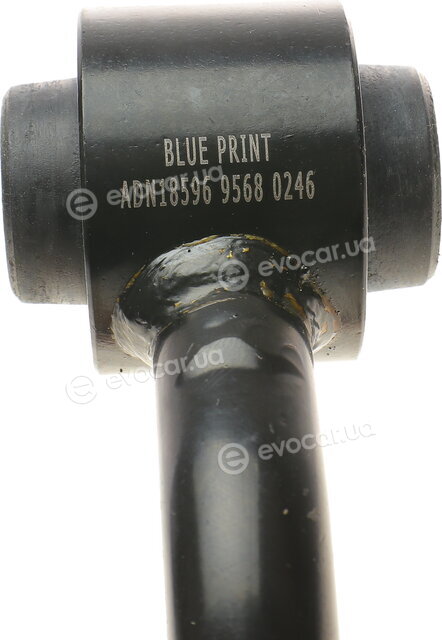 Blue Print ADN18596