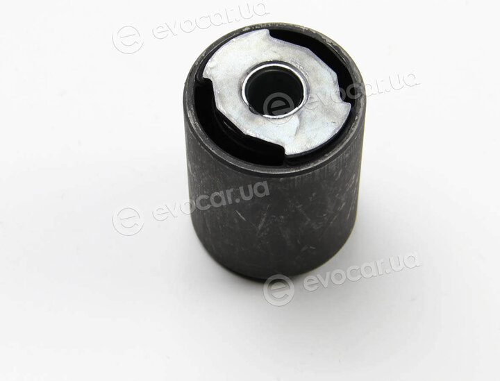 Metalcaucho / STC 04984