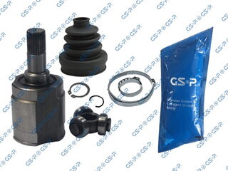 GSP 699079