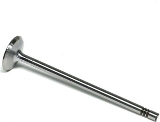 Gunes 6816