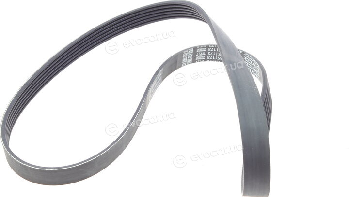 Dayco KPV451