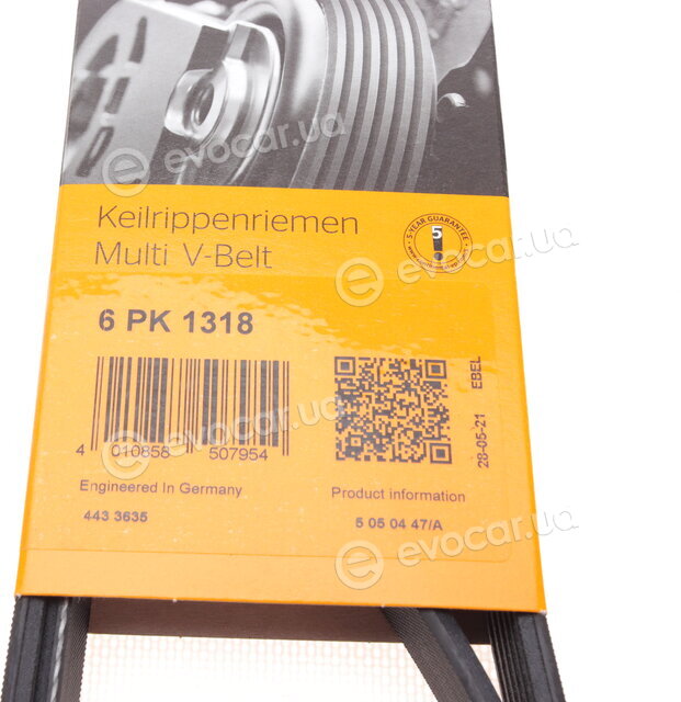 Continental 6PK1318