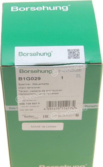 Borsehung B1G029