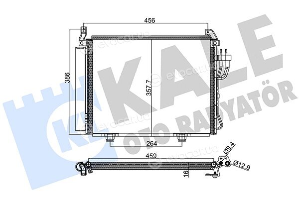Kale 391800