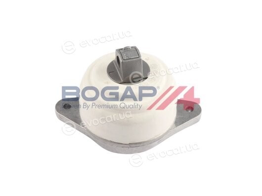 Bogap C1911110