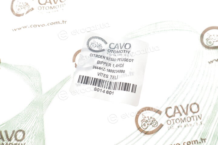 Cavo 6014 601