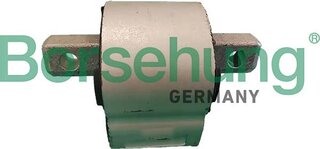 Borsehung B12658