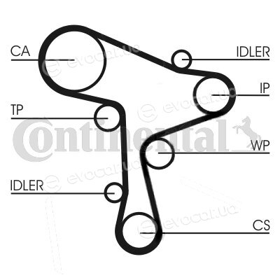 Continental CT1168WP3