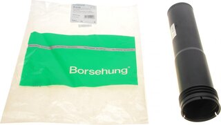 Borsehung B10153