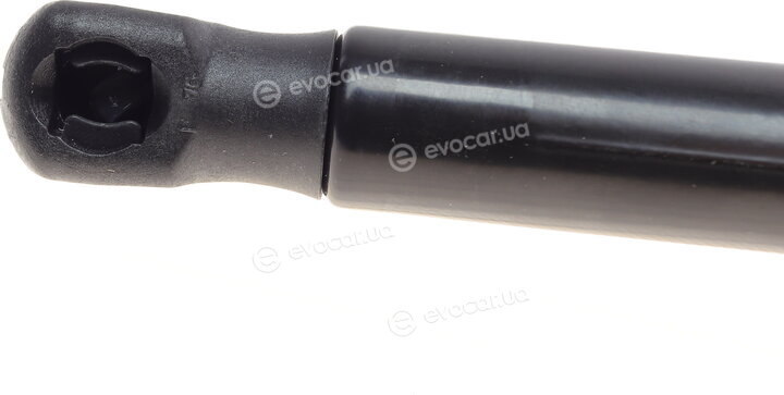 Stabilus 843918
