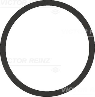 Victor Reinz 40-77542-00