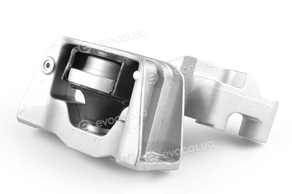 Tedgum TED99324