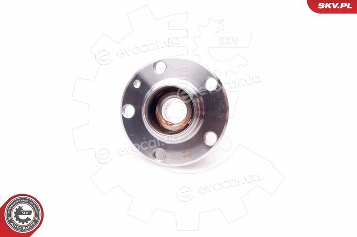 SKV 29SKV004