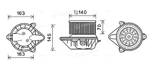 AVA OL8624